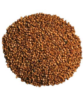 کنجد قهوه ای گل وش 90گرمی